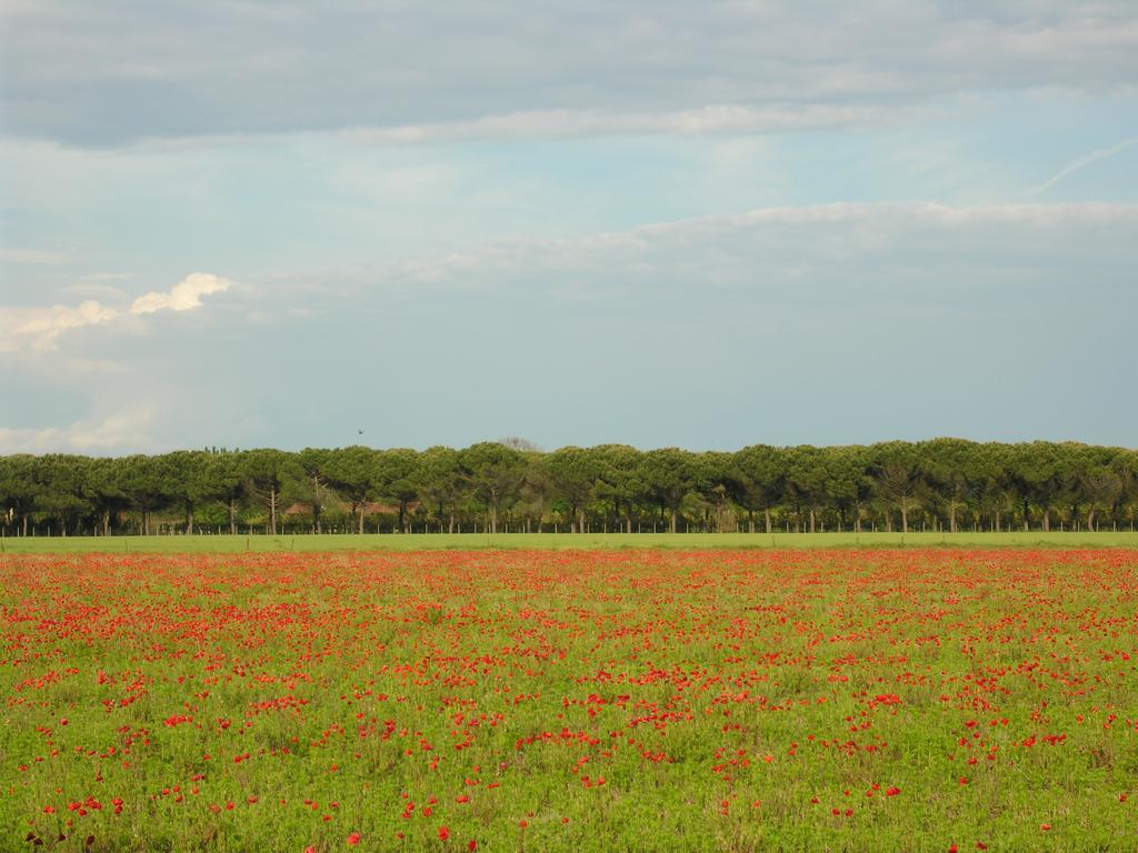 Appartamenti Villaggio San Siro Bibione Esterno foto